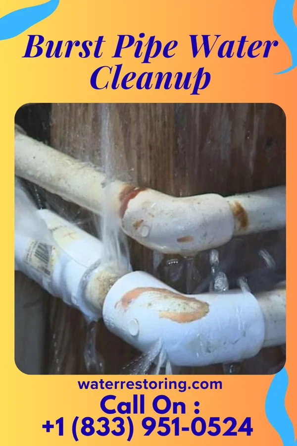Burst Pipe Water Cleanup in Garfield, MN