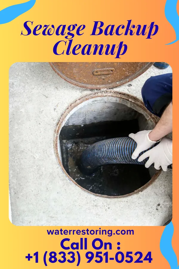 Sewage Backup Cleanup in Garfield, MN